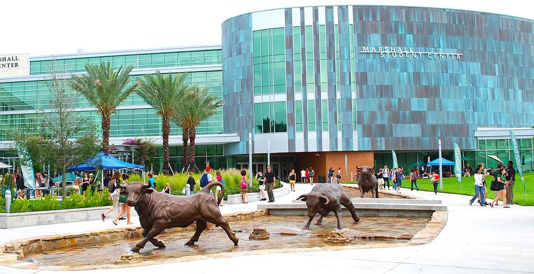 university of south florida