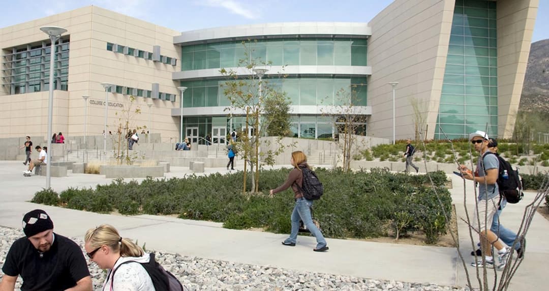 california state university