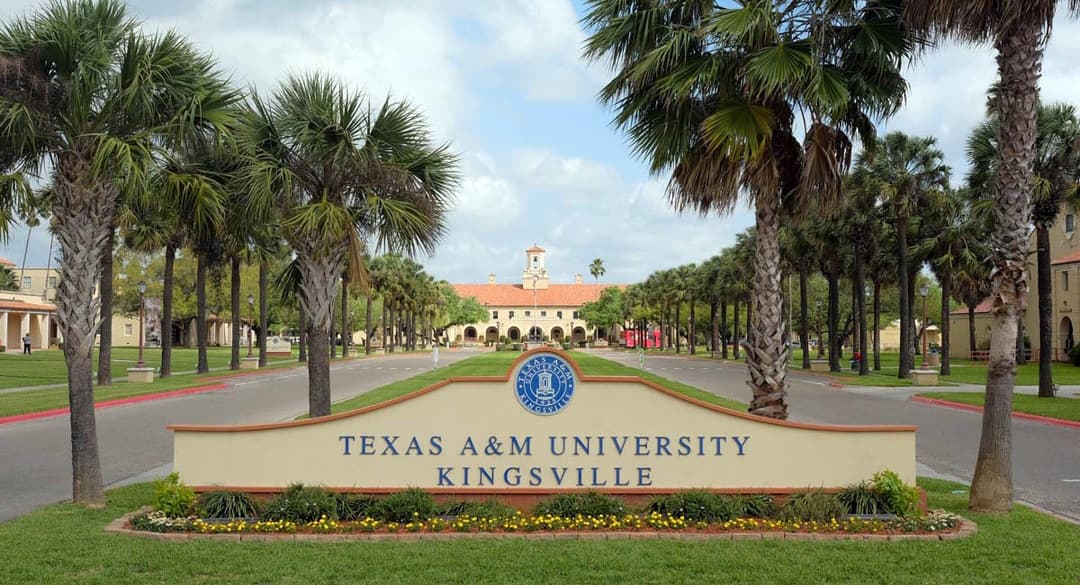 Texas A&M University Kingsville